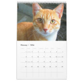 Großartige Orangenkatzen 2023 Kalender (Feb 2026)