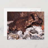 Großartige Postkarte (Vorne/Hinten)