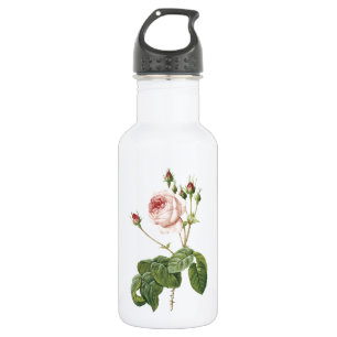 großartige Rose mit Kohlensauger von Redouté Trinkflasche