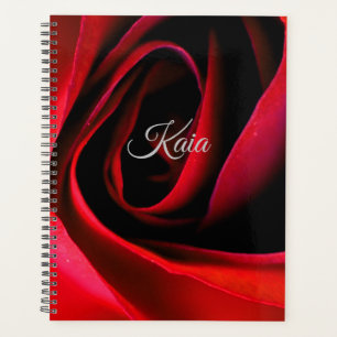 Großartige Rote Rose Planer