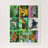 Großartige Schmetterlinge Collage, 9 Fotos, Alter Puzzle (Vertikal)