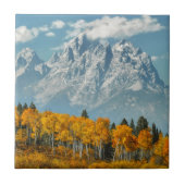 Großartige Teton Berge im Fall Fliese (Vorderseite)