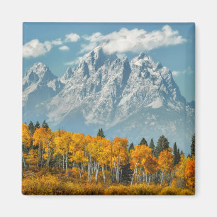 Großartige Teton Berge im Fall Magnet