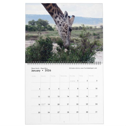 Großartige Wildkreaturen - Kenia-Kalender (zweisei Kalender (Jan 2026)