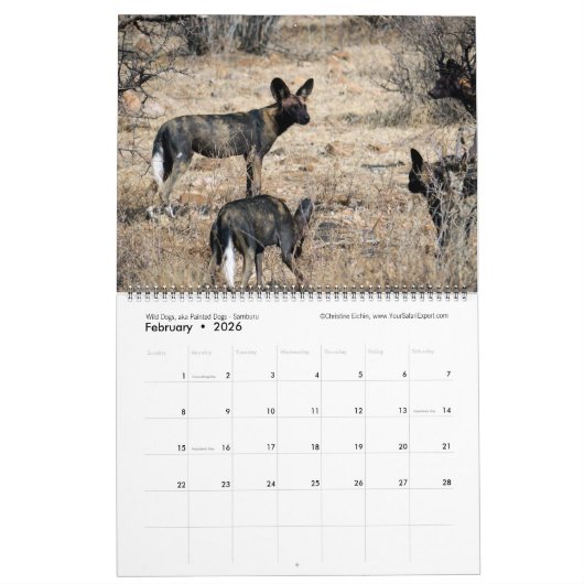 Großartige Wildkreaturen - Kenia-Kalender (zweisei Kalender (Feb 2026)