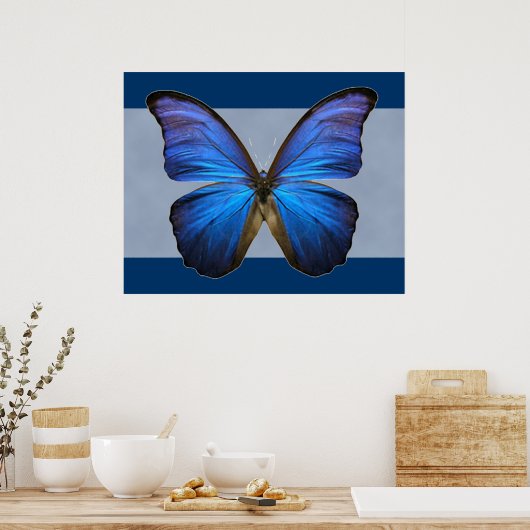 Großartiger Blue Morpho Butterfly Print Poster (Küche)