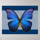 Großartiger Blue Morpho Butterfly Print Poster (Vorne)