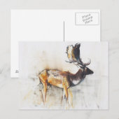 Großartiger Brache Buck 2006 Postkarte (Vorne/Hinten)