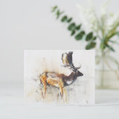 Großartiger Brache Buck 2006 Postkarte (Stehend Vorderseite)