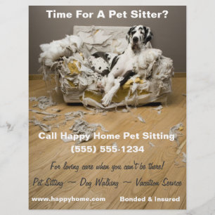 Großartiger Dan auf aufgebähtem Sofa Haustier Sitt Flyer