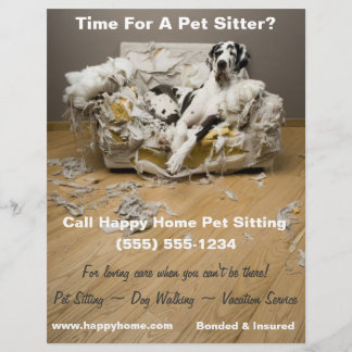 Großartiger Dan auf aufgebähtem Sofa Haustier Sitt Flyer