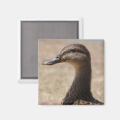 Großartiger Duck Posing Foto Magnet (Vorderseite/Rückseite)