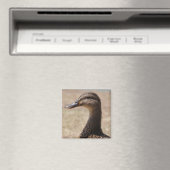 Großartiger Duck Posing Foto Magnet (In Situ (Geschirrspüler))