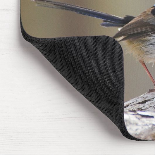 Großartiger Fee-Zaunkönig Mousepad (Ecke)