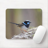 Großartiger Fee-Zaunkönig Mousepad (Mit Mouse)