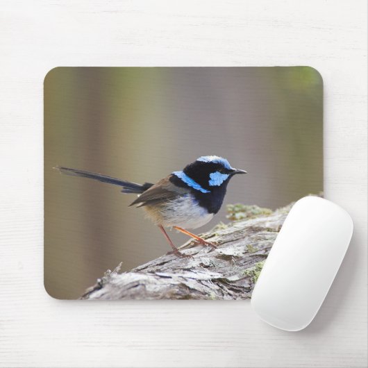 Großartiger Fee-Zaunkönig Mousepad (Mit Mouse)