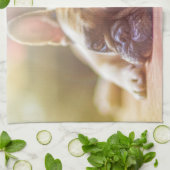 Großartiger französischer Bulldog liegt runter Geschirrtuch (Gefaltet)