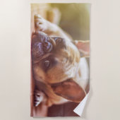 Großartiger französischer Bulldog liegt runter Strandtuch (Vorderseite)