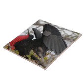 Großartiger Frigate Bird Fliese (Seite)