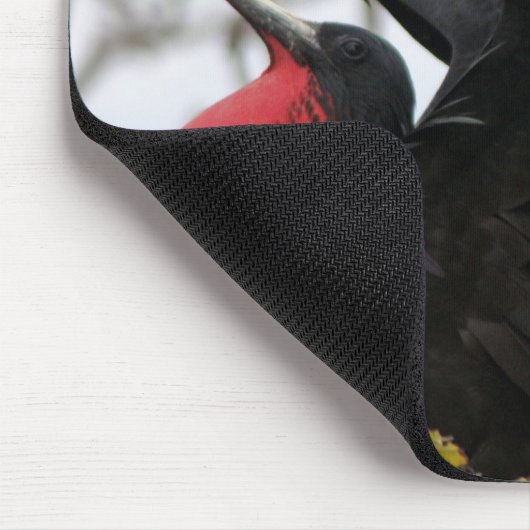Großartiger Frigate Bird Mousepad (Ecke)