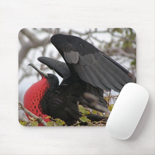 Großartiger Frigate Bird Mousepad (Mit Mouse)