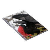 Großartiger Frigate Bird Notizblock (Rechte Seite)