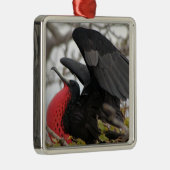 Großartiger Frigate Bird Ornament Aus Metall (Rechts)