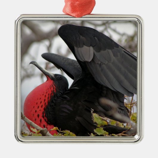 Großartiger Frigate Bird Ornament Aus Metall (Vorne)