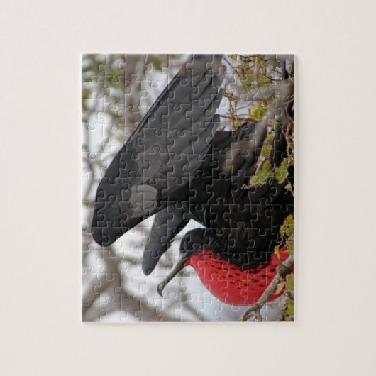 Großartiger Frigate Bird Puzzle (Vertikal)