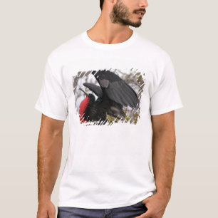 Großartiger Frigate Bird T-Shirt