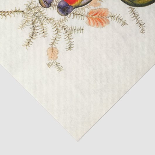 Großartiger Grasparaket, dekoupage Seidenpapier (Ausschnitt)