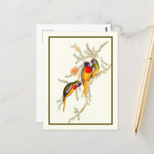 Großartiger Grasparaket, Vintag Postkarte