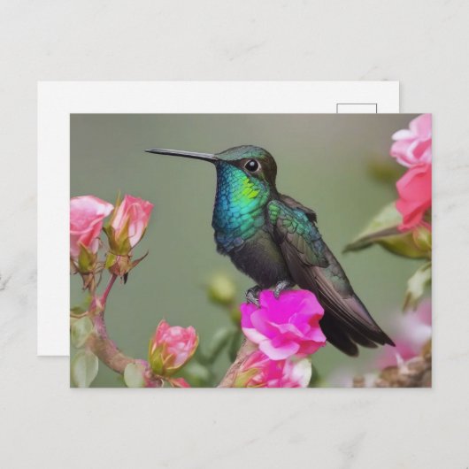 Großartiger Hummingbird an der Erholung Postkarte (Vorne/Hinten)