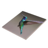 Großartiger Kolibri in der Flucht Fliese (Seite)