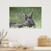 Großartiger Kunstdruck Poster (Küche)