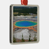 GROSSARTIGER PRISMATISCHER FRÜHLING SILBERNES ORNAMENT (Rechts)