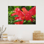 Großartiger Roter Hibiskus Poster (Küche)
