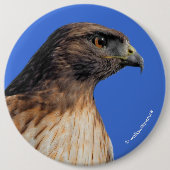 Großartiger Rotschwanzfalken in der Sonne Button (Vorderseite)