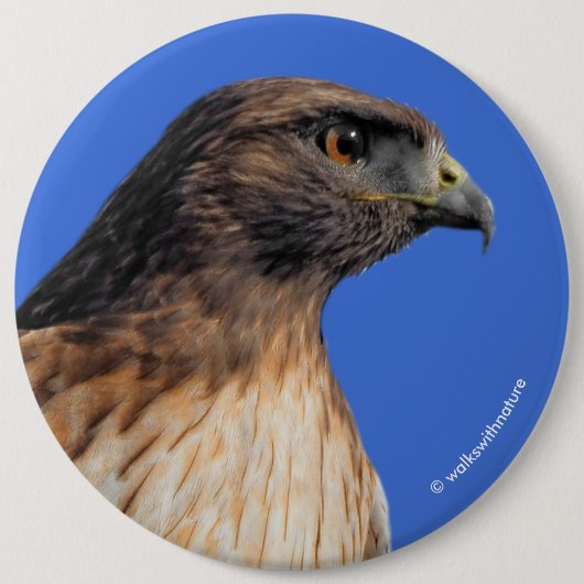 Großartiger Rotschwanzfalken in der Sonne Button (Vorderseite)