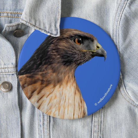 Großartiger Rotschwanzfalken in der Sonne Button (Beispiel)