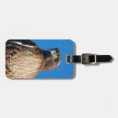 Großartiger Rotschwanzfalken in der Sonne Gepäckanhänger (Vorderseite horizontal)