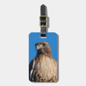 Großartiger Rotschwanzfalken in der Sonne Gepäckanhänger (Vorderseite vertikal)