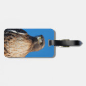 Großartiger Rotschwanzfalken in der Sonne Gepäckanhänger (Rückseite horizontal)