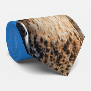 Großartiger Rotschwanzfalken in der Sonne Krawatte