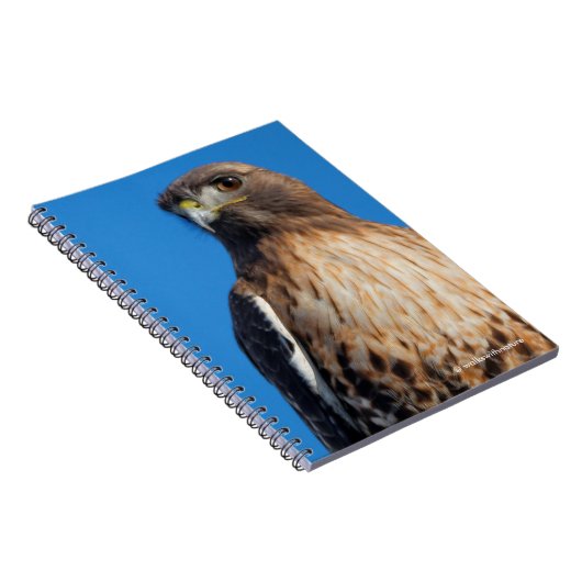 Großartiger Rotschwanzfalken in der Sonne Notizblock (Rechte Seite)