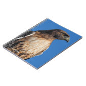 Großartiger Rotschwanzfalken in der Sonne Notizblock (Linke Seite)