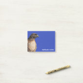 Großartiger Rotschwanzfalken in der Sonne Post-it Klebezettel (Auf Schreibtisch)