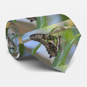 Großartiger Schmetterling Krawatte (Gerollt)