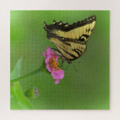 Großartiger Schmetterling über Zinnia Puzzle (Horizontal)