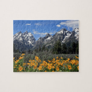 Großartiger Teton Nationalpark Puzzle